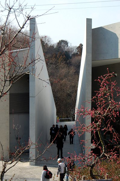 近つ飛鳥博物館 写真一覧/安藤忠雄